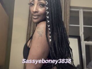 Sassyeboney3838