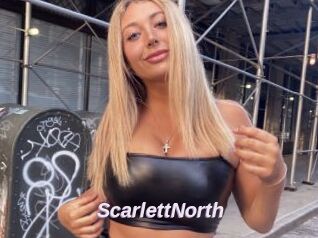 ScarlettNorth