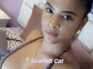Scarlett_Cat