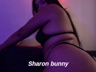 Sharon_bunny