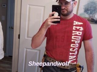 Sheepandwolf