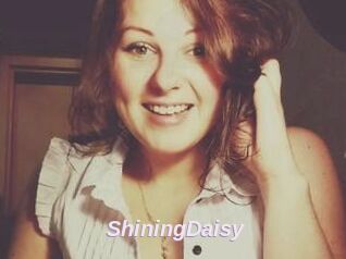 ShiningDaisy