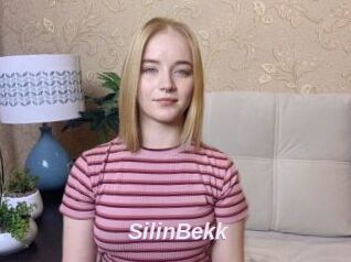 SilinBekk