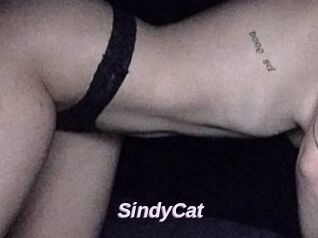 SindyCat