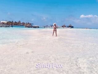 SindyFox