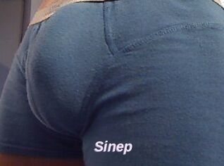 Sinep