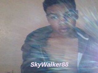 SkyWalker88