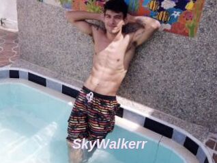 SkyWalkerr