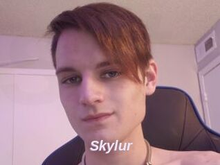 Skylur