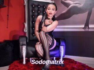 Sodomatrix