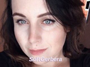 SoftGerbera