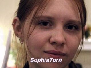 SophiaTorn