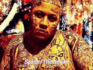 SpiderTheSnake