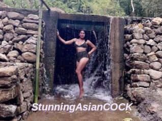StunningAsianCOCK