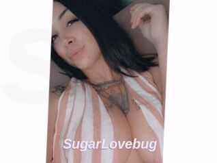 SugarLovebug
