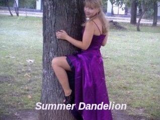 Summer_Dandelion