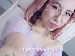 Sandyblossom19