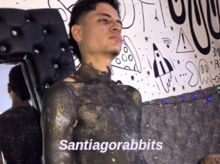 Santiagorabbits