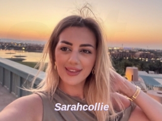 Sarahcollie
