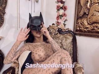 Sashagodonghai