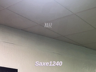 Saxe1240