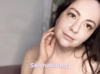 Selenacartery