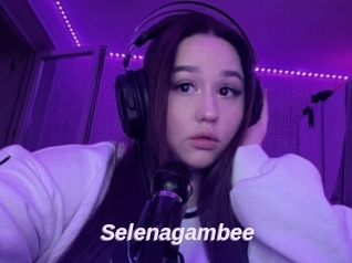 Selenagambee