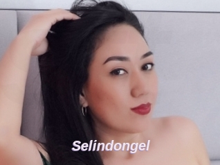 Selindongel