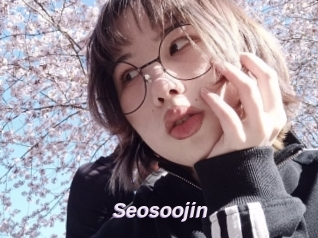 Seosoojin