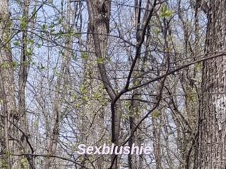 Sexblushie