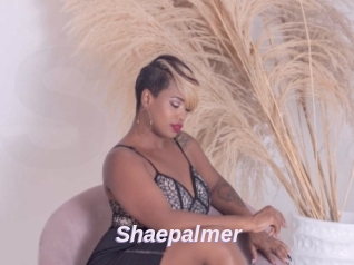 Shaepalmer
