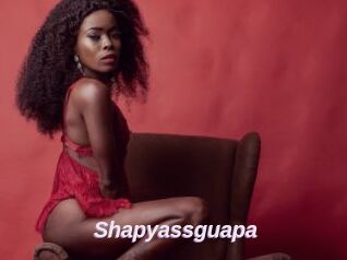 Shapyassguapa