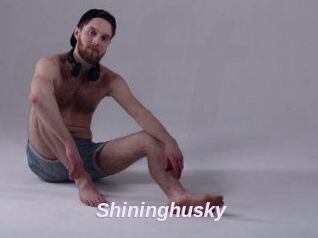 Shininghusky