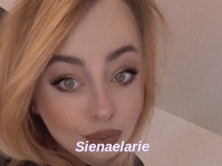 Sienaelarie