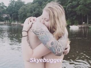 Skyebugger