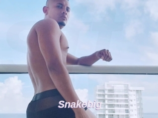 Snakebig