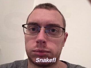 Snakefl