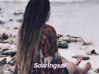 Soaringsar
