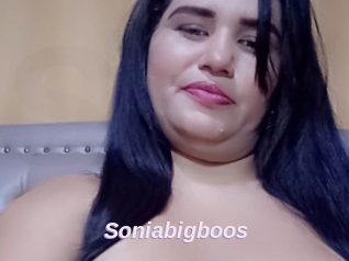 Soniabigboos