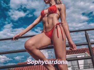Sophycardona