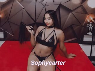 Sophycarter