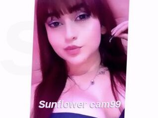 Sunflower_cam99
