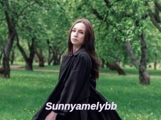 Sunnyamelybb