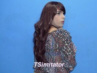 TSimitator