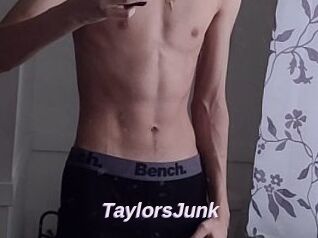 TaylorsJunk