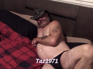 Taz1971