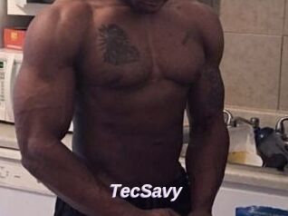 TecSavy