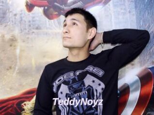 TeddyNoyz