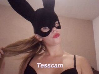 Tesscam