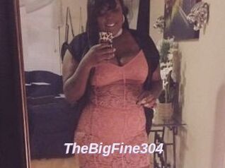 TheBigFine304